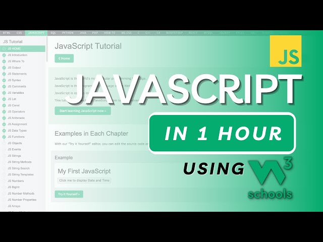 JavaScript in 1 Hour using W3Schools Website | W3Schools JavaScript Tutorial