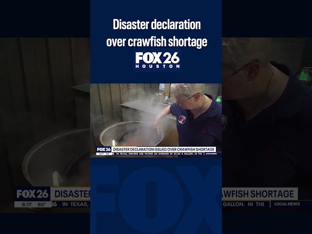 Crawfish shortage: Disaster declared by Louisiana governor