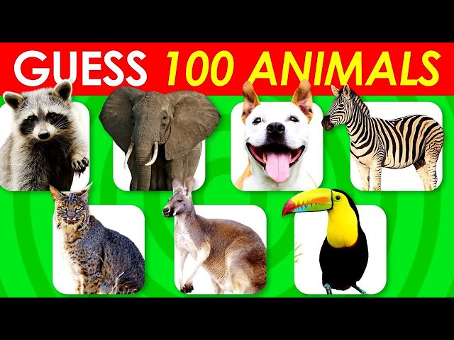 Guess 100 Animals In 3 Seconds | Easy, Medium, Hard, Impossible
