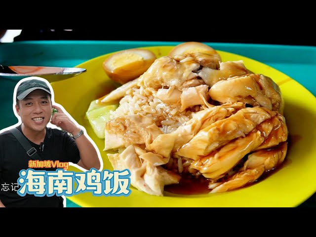 sg Vlog | 开车进去吃新加坡排队的著名海南鸡饭 味道如何? 还有好喝的Kopi和Popiah | Mr. Hong Kitchen