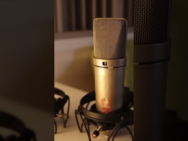 Why the Neumann U87 is the Gold Standard in Studio Microphones #shorts