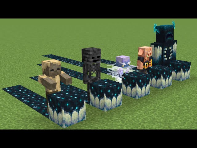 Which Mob Makes The Most Minecraft Sculk ? || Sculk Generation by All Mobs in Minecraft