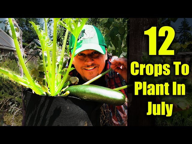 12 Crops You Can Still Plant In July