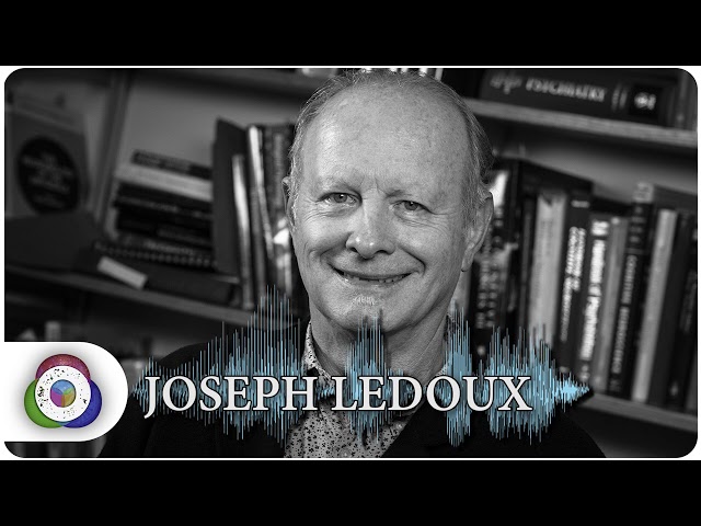 FULL AUDIO | Joseph LeDoux - The Origins Podcast
