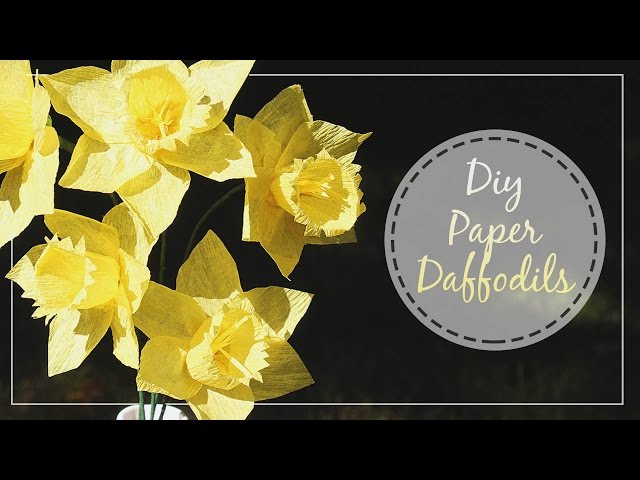 How To Make Crepe Paper Daffodils