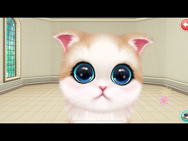 Play Fun Cute Kitten Pet Care Learning - Little Kitten Preschool Adventure Education Games iOS №483
