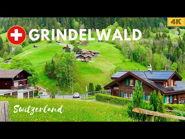 Heavenly Grindelwald , Village in Switzerland 4K | Swiss Valley