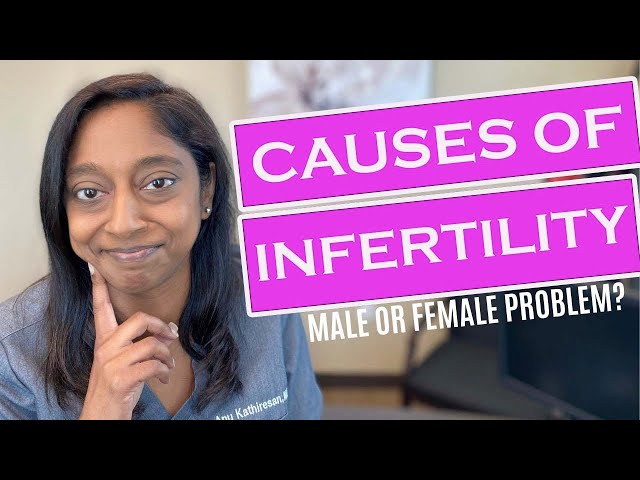 CAUSES OF INFERTILITY- IS THIS A MALE OR FEMALE PROBLEM?