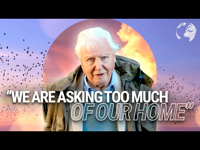 Sir David Attenborough shares words of wisdom on protecting our home 🌎