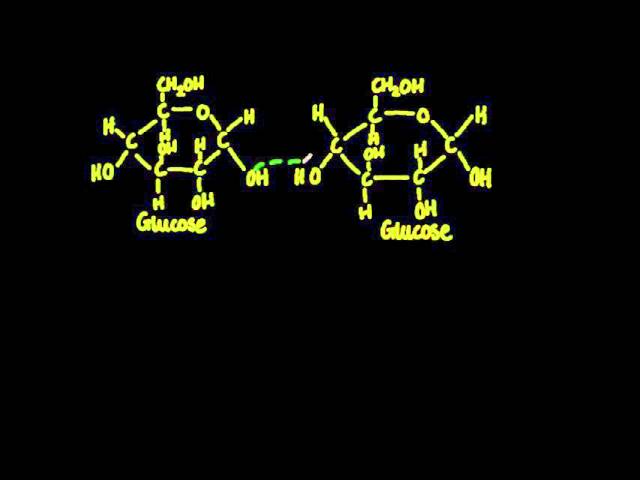 2.3 Monosaccharide monomers are linked together by condensation reactions