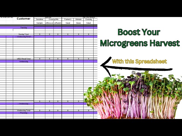 Boost Your Microgreens Harvest with this Spreadsheet