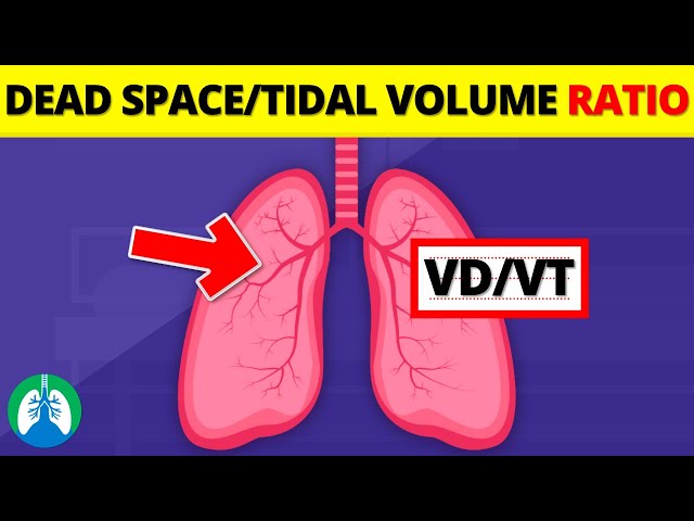 Dead Space/Tidal Volume Ratio (VD/VT) | Quick Explainer Video