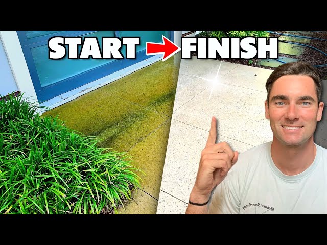 Annihilating DRIVEWAY MOLD | Come Along With Me