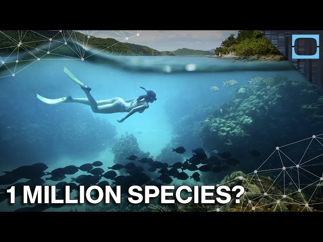 How Much Life Do We Know Even Exists In The Ocean?