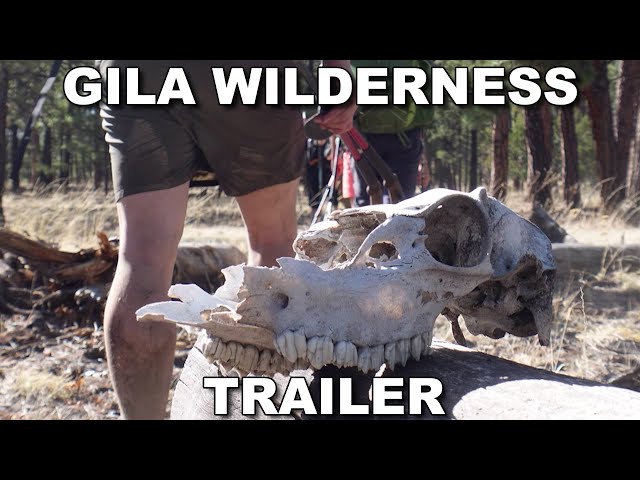 The Gila Wilderness Trailer
