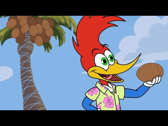 Woody tries to impress Winnie | Woody Woodpecker
