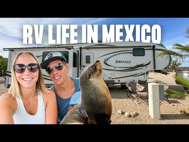 RV Life in Baja Mexico & AMAZING La Paz Excursions