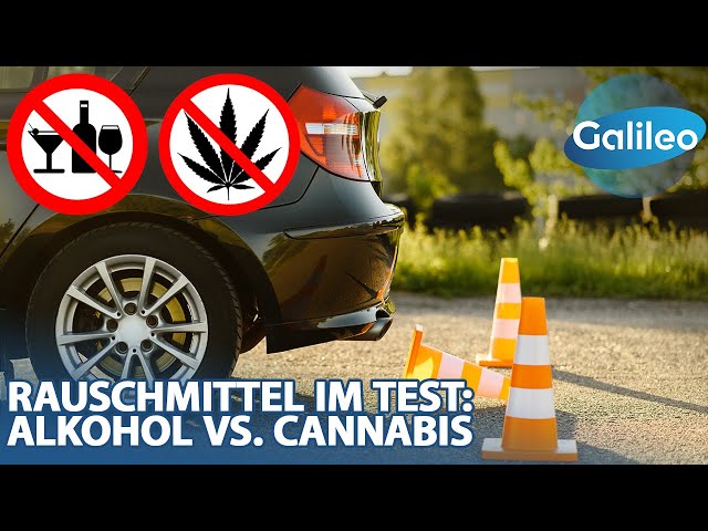 Auto fahren im Rausch: Alkohol vs. Cannabis