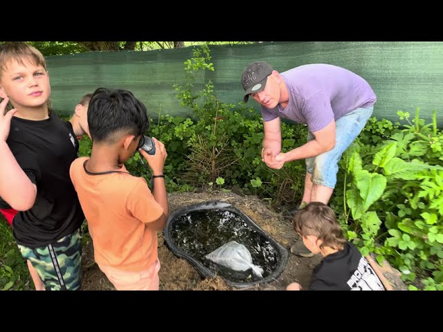 3 Brothers release 5 baby English Carp into their new water world nursery  project mini pond