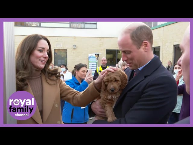 Adorable Puppy LOVES Prince William in Lancashire!