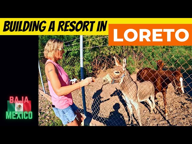 Starting to Build our Resort in Loreto Mexico - Episode 29