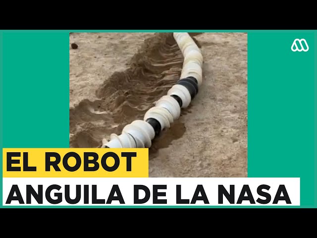 El robot anguila de la NASA que llegará a Saturno