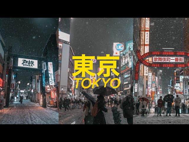 Tokyo Heavy Snow 2024 ❄️  [4K] | Cinematic Jazz