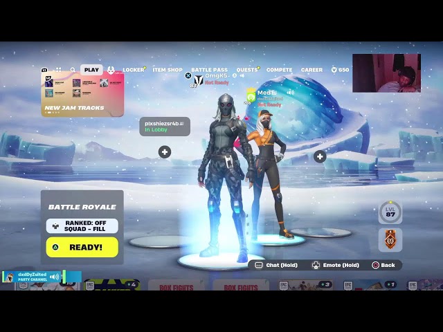 Fortnite with fans