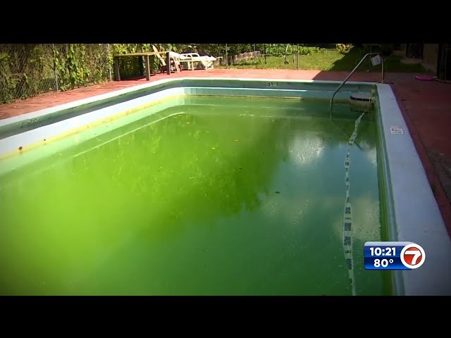 Is an unkept pool a health hazard?