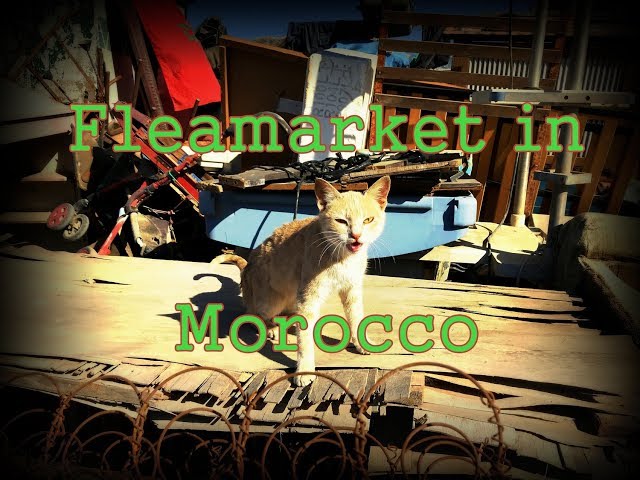 Oddie visits a Fleamarket in Morocco!!