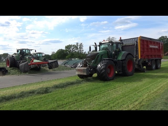 Second cut silage 2024