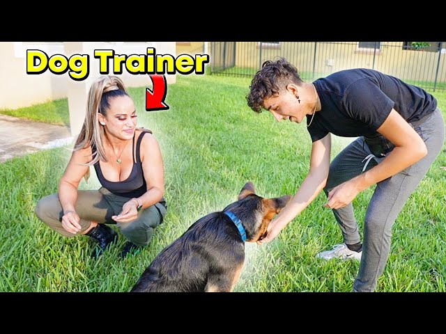 I Hired a PROFESSIONAL TRAINER For My Dog!
