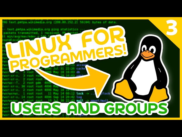 Linux For Programmers #3 - Users and Groups
