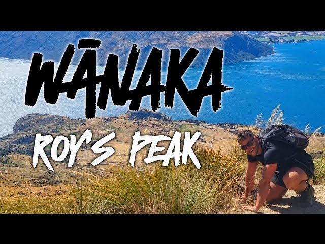 TAKING ON NEW ZEALANDS BEST HIKE 🇳🇿 Roy's Peak Wānaka
