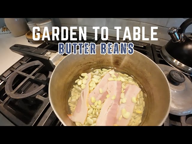 Garden to Table | BUTTER BEANS