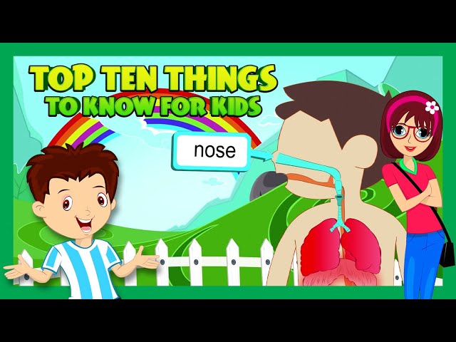 Top Ten  - THINGS TO KNOW FOR KIDS | General knowledge for Kids | Tia & Tofu