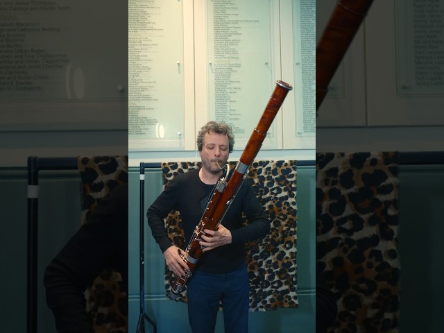 Introducing the Hybrid System Bassoon