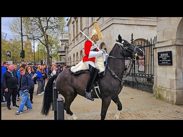 MOVE BACK! MELTDOWN as POLICE guard and tourists run when King's Horse quits at Horse Guards!