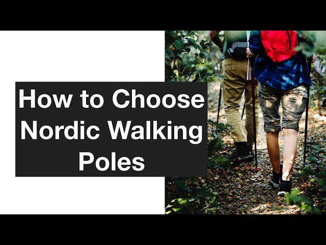 How to Choose Nordic Walking Poles