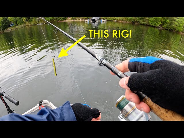 THIS Rig Produced Lots of Bass! | (Smallies!!)