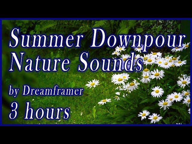 Summer Downpour - Relaxing Nature Sounds