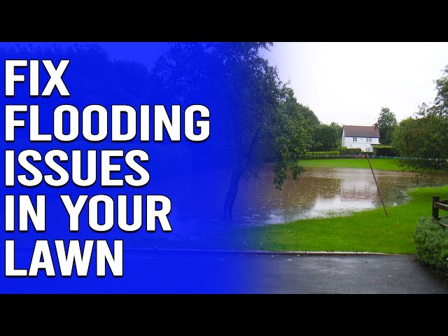 How to Fix Flooding Issues in Your Lawn - 4 Effective Ways to Stop Yard Flooding
