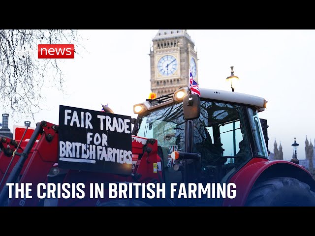 Faultlines: Struggling farmers face uncertain future post-Brexit