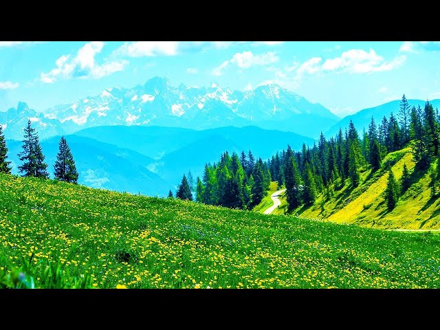 Relaxing Morning Music - Piano Music Background For Study, Yoga, Meditation (Honley)