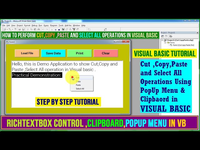 Cut Copy Paste and Select All Operation in Visual basic | Richtextbox control & Popup menu Clipboard