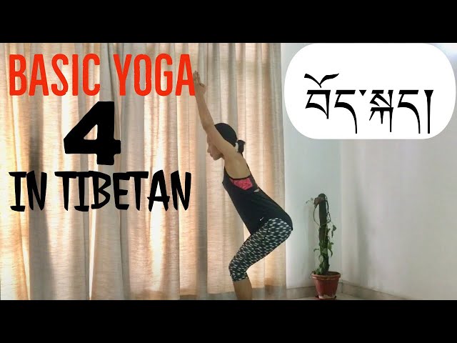 Basic yoga lesson 4 སློབ་ཁྲིད་བཞི་པ standing basic asana