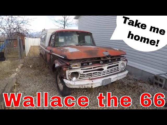 Taking Home A 1966 FORD F-250 farm find #wallacethe66 #farmfindrevival