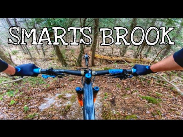 Smart Brook | NETS Episode 6