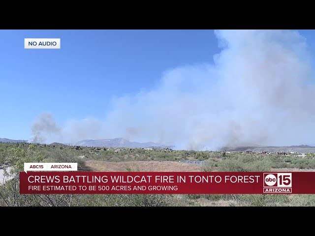 Crews battling Wildcat Fire in Tonto National Forest
