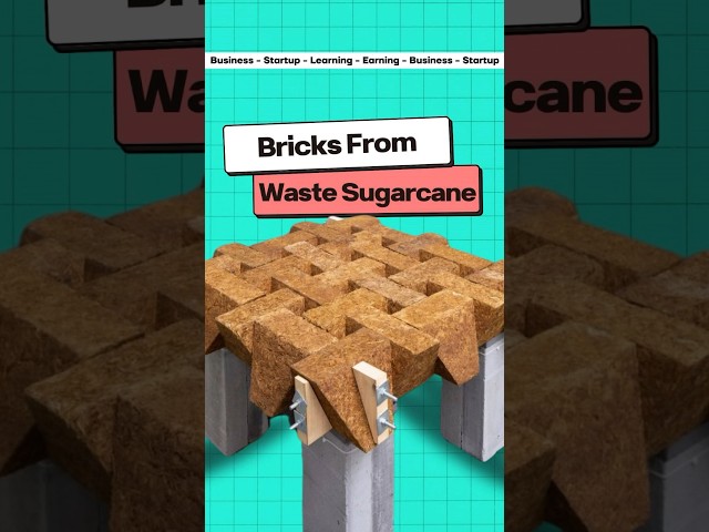 Bricks From Waste Sugarcane 🧱🧱
